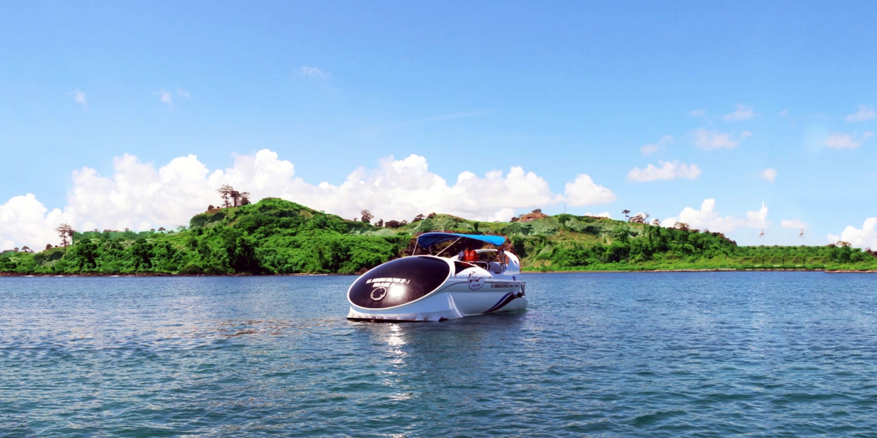 Dolphin Boat Ride in North Bay Island