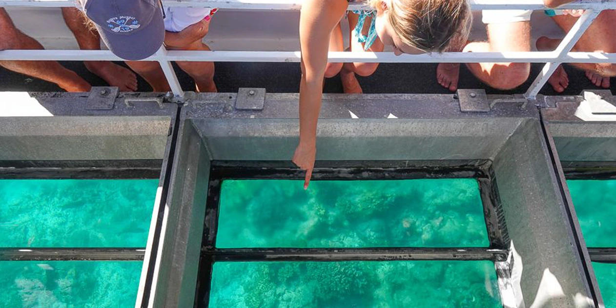 Glass Bottom Boat Ride in North Bay Island