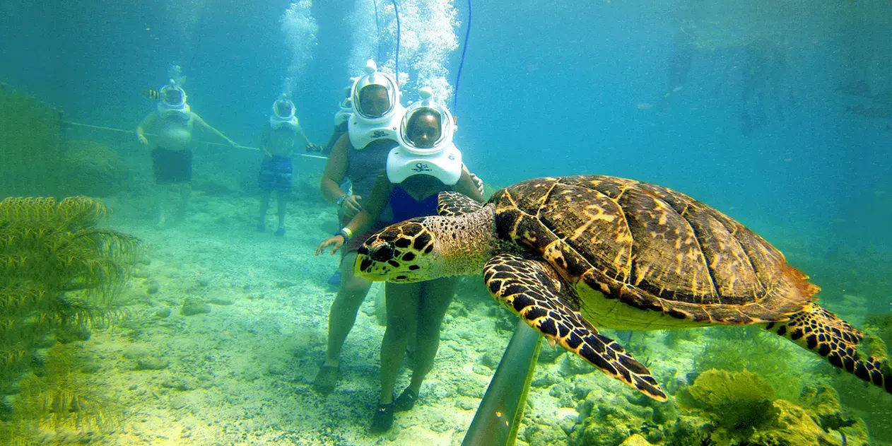 Seawalk in North Bay Island