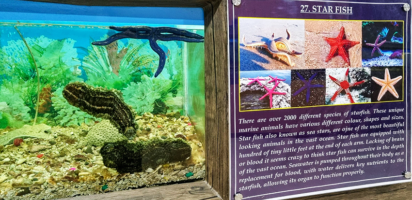 Fisheries Aquatic Museum