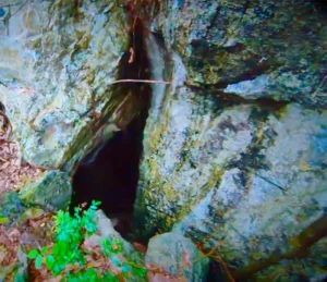 Alfred Caves North Andaman gallery