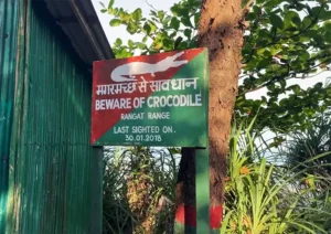 Amkunj Beach Andaman Beware of crocodile