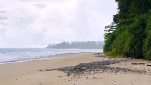 Amkunj Beach – A Tranquil Escape in the Andaman Islands
