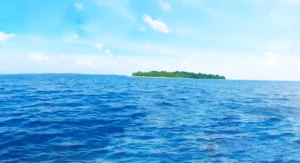 Avis Island, Mayabunder – The Coconut Paradise of North Andaman