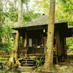 barefoot at havelock