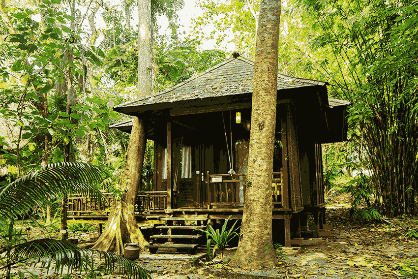 barefoot at havelock