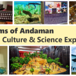 best museums of andaman