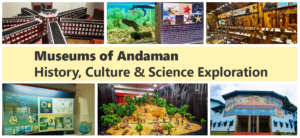 Museums of Andaman – History, Culture & Science Exploration
