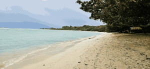 Bharatpur Beach, Neil Island – The Water Sports Hub of Shaheed Dweep