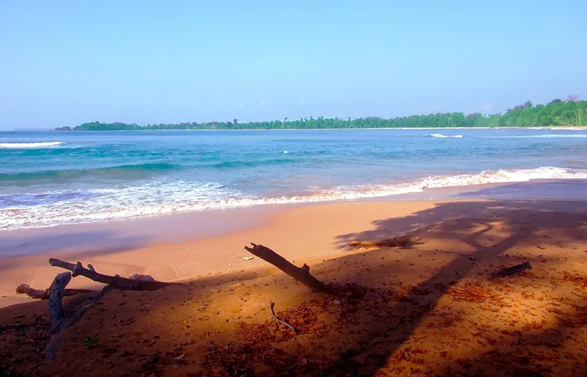 butler bay beach gallery