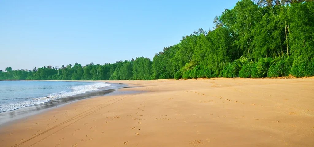 butler bay beach hd image