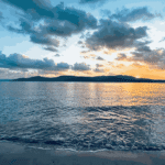 chidiya tapu hd image