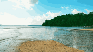 Chidiya Tapu Andaman – Best Sunset Point Near Port Blair