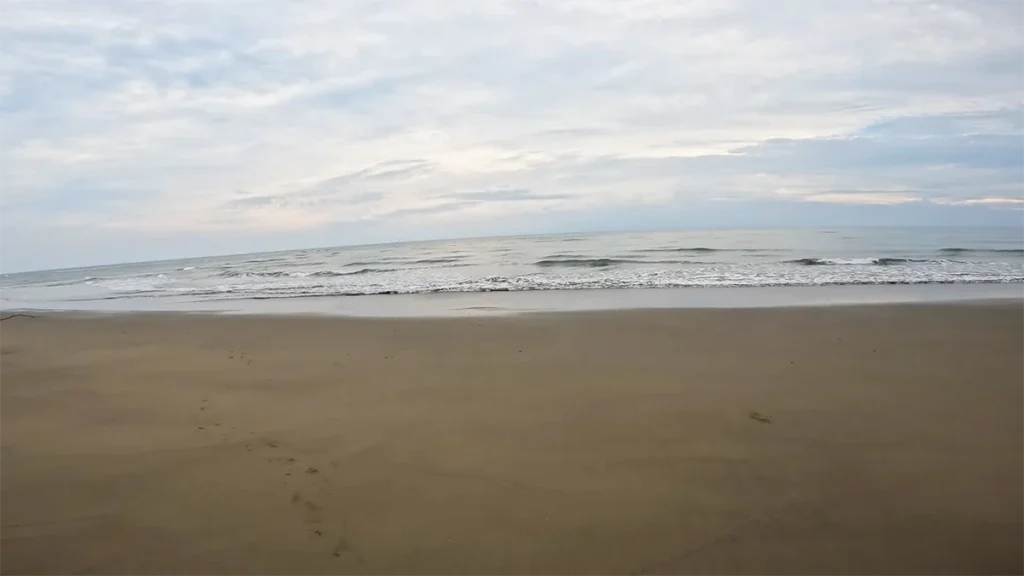 Dhani Nallah Mangrove beach