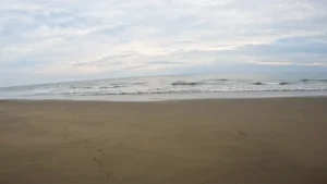 Dhani Nallah Mangrove Walkway – Heart of Middle Andaman’s Nature