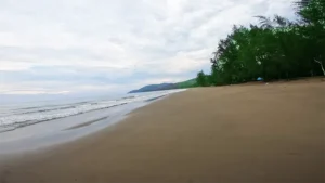 Dhani Nallah Mangrove gallery