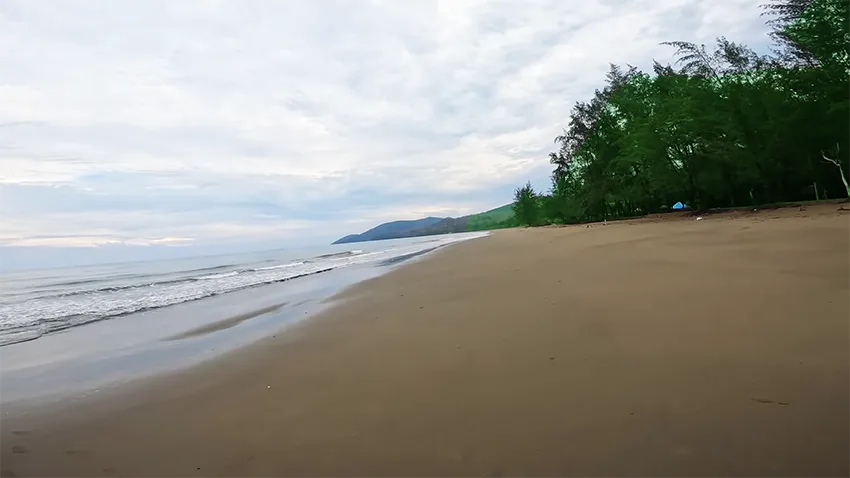 Dhani Nallah Mangrove gallery