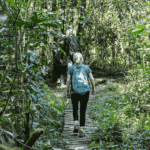 elephant beach gallery tracking