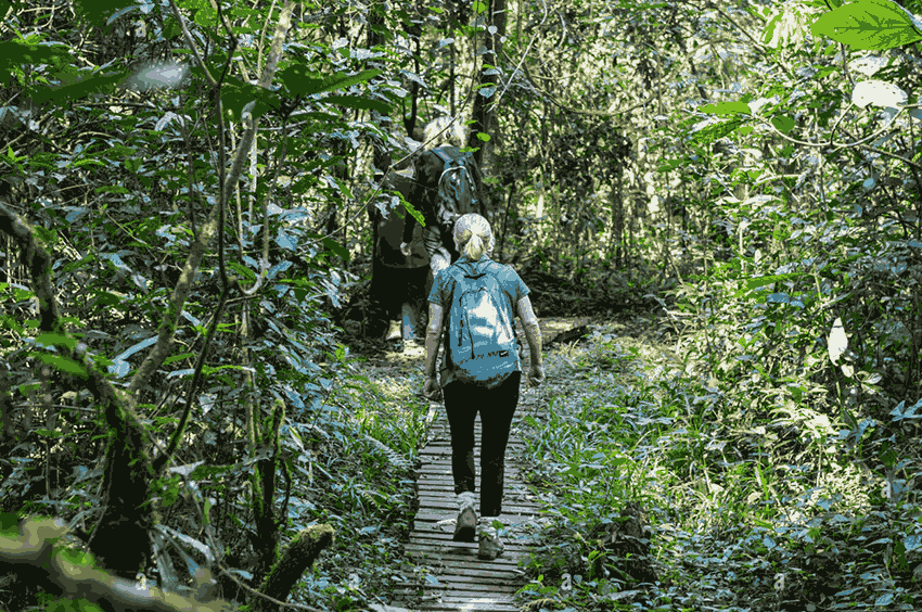 elephant beach gallery tracking