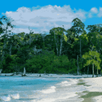 elephant beach gallery