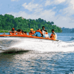 elephant beach gallery