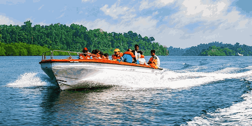 elephant beach gallery