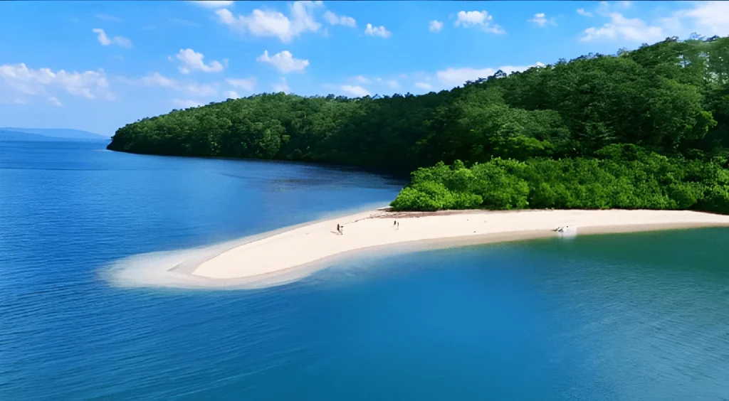 Guitar Island beach view