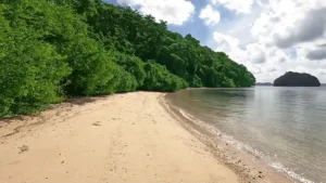 Guitar Island gallery