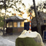 kalapathar beach havelock gallery