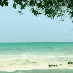 kalapathar beach havelock gallery