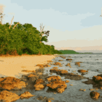 kalapathar beach havelock gallery