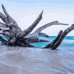 kalapathar beach havelock hd image