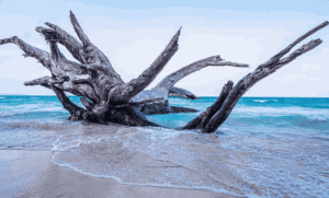 Kalapathar Beach, Havelock Island – A Silent Sunrise Retreat in Andaman