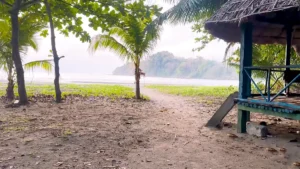 Kalipur Beach – The Untouched Black Sand Beauty of North Andaman