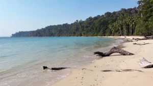 Lalaji Bay Beach image