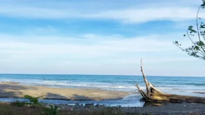 Lamiya Bay Beach – The Foothill Beach of Saddle Peak That Feels Like a Private Island