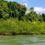 limestone caves baratang gallery