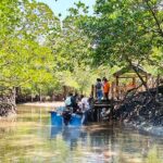 limestone caves baratang gallery
