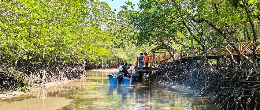 limestone caves baratang gallery