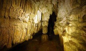 Limestone Caves Baratang Travel Guide