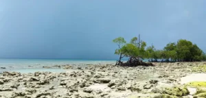 Merk Bay Beach sea view