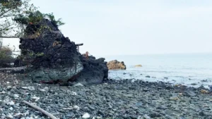 Morrice Dera Beach – Twin Rock’s Hidden Gem in Andaman Islands