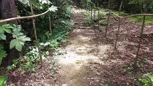 Mud Volcanoes Shyamnagar forest tracking