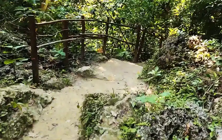 Panchavati Waterfalls Rangat forest