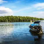 parrot island baratang gallery