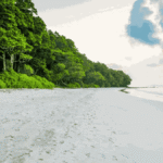 radhanagar-beach-havelock