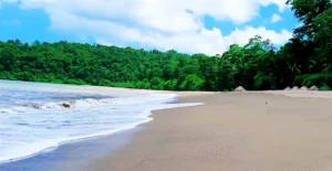 Ramnagar Beach Andaman Diglipur gallerly
