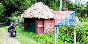 Ramnagar Beach Andaman Diglipur forest