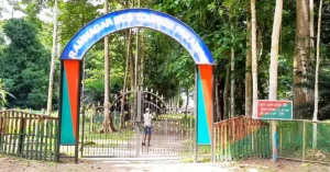 Ramnagar Beach – The Quiet Escape of North Andaman