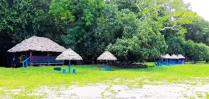 Ramnagar Beach Andaman Diglipur hut